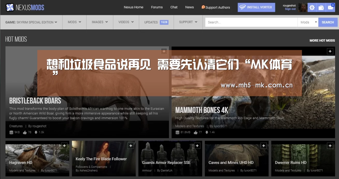  MK SPORTS官方网站 