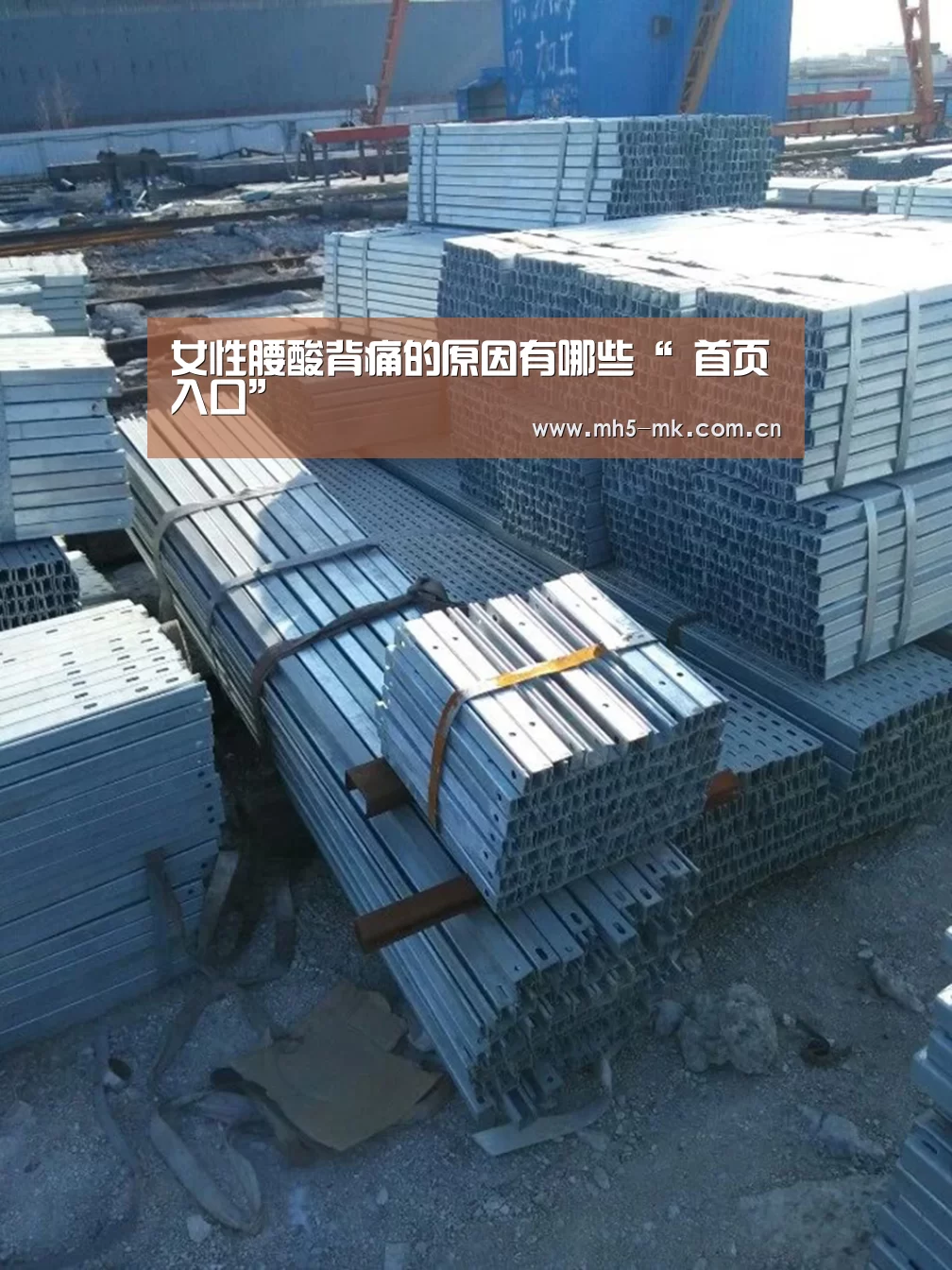 女性腰酸背痛的原因有哪些“ 首页入口”(图2) MK体育