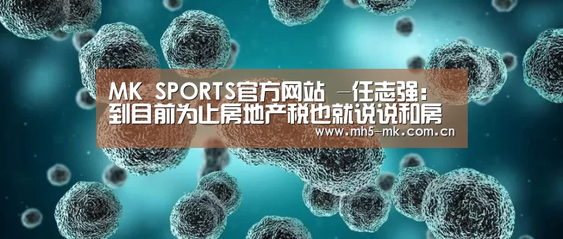 MK SPORTS官方网站 -任志强:到目前为止房地产税也就说说和房价没关系(图3) 首页入口
