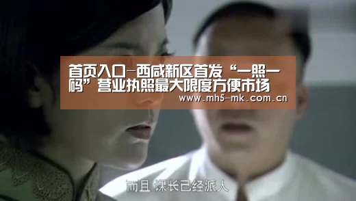  首页入口-西咸新区首发“一照一码”营业执照最大限度方便市场