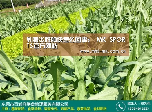 MK体育 