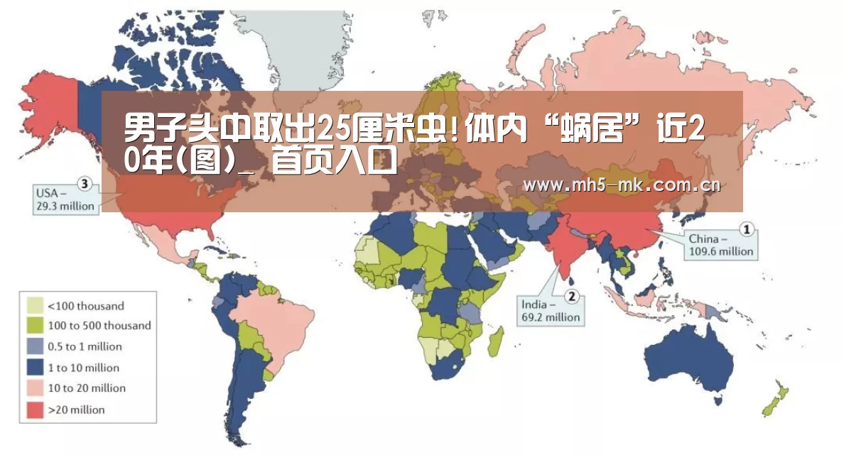MK体育 