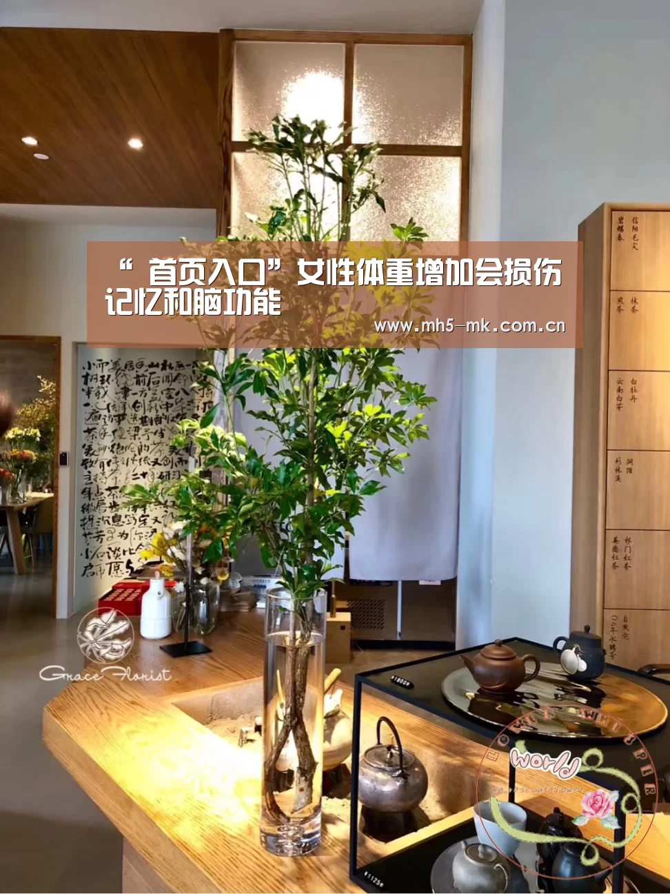  首页入口