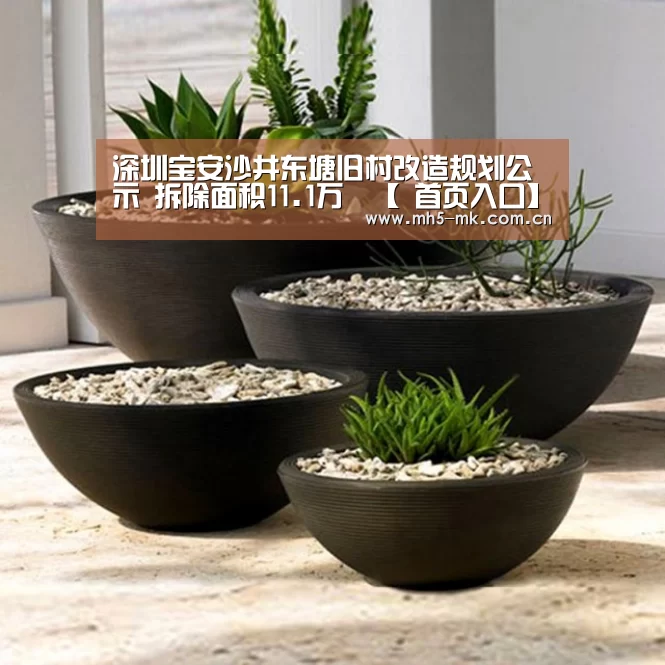  首页入口