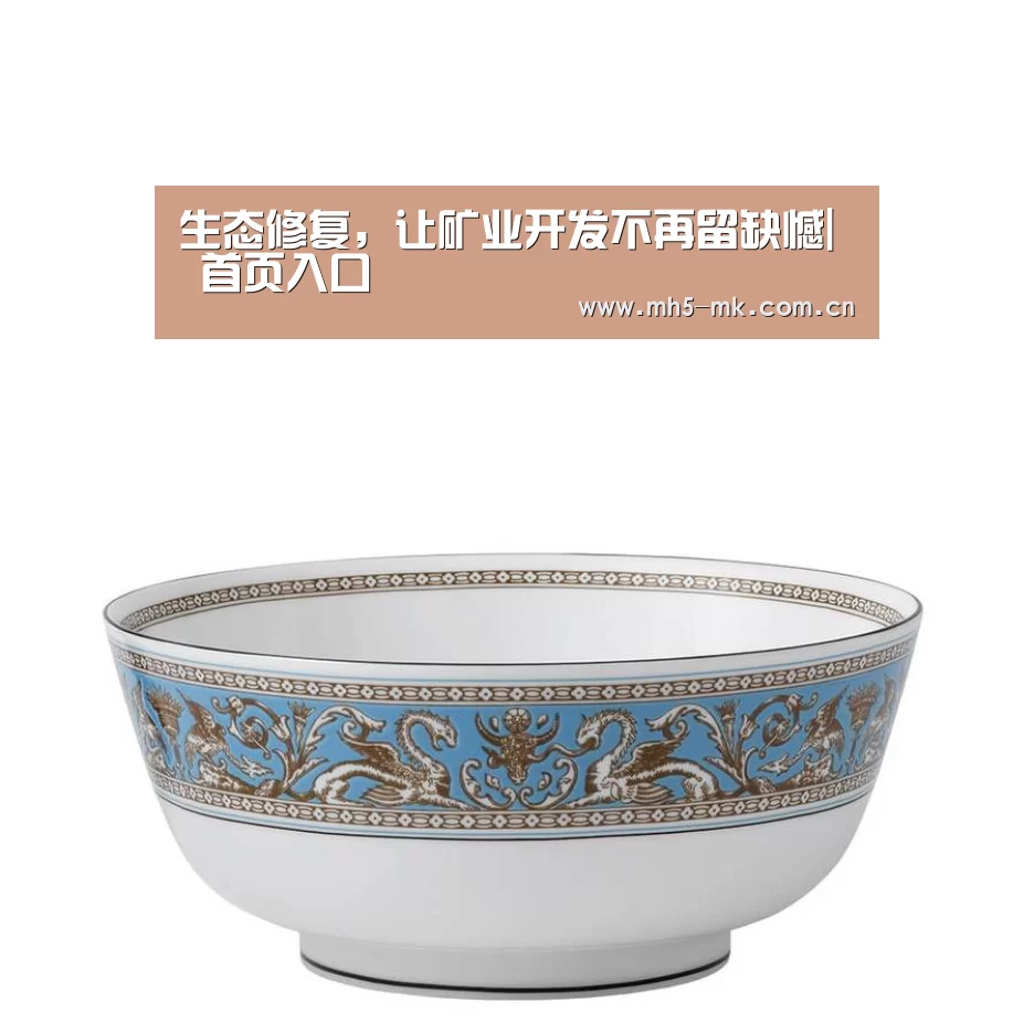  首页入口