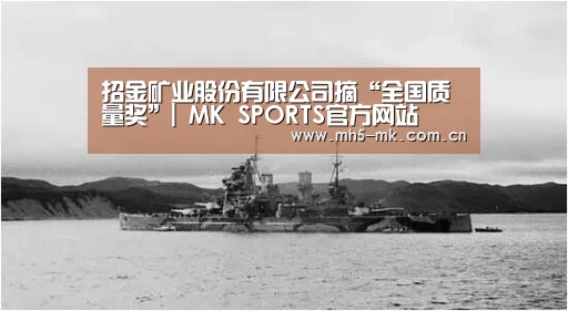 MK体育 
